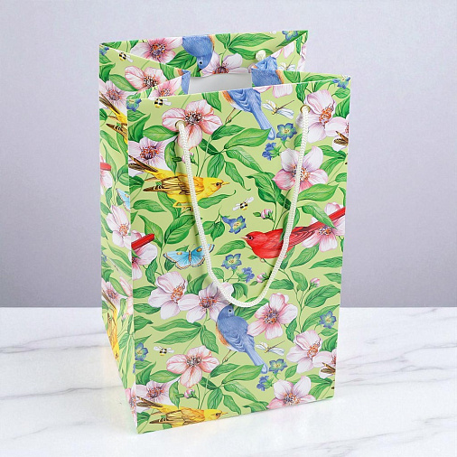 Пакет светло-зеленый с птицами 30*18,5*16,5см