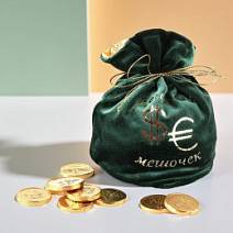 "Мешок с монетами" молочный шоколад (зеленый)