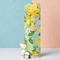 Набор двуслойных конфет: суфле со вкусом манго + ванильное безе в горьком шоколаде 145г