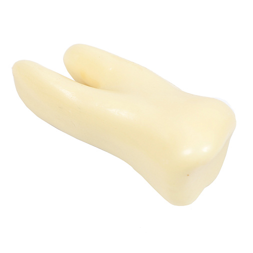 "Зуб" скульптура белый шоколад